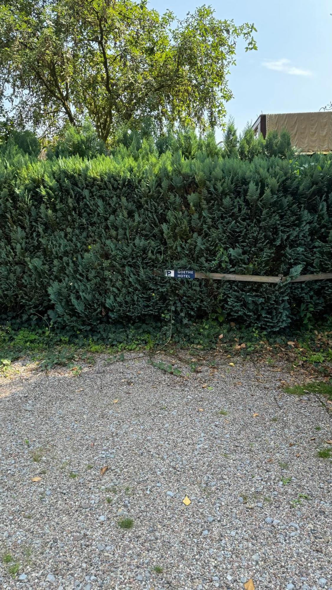Goethe Hotel Bad Pyrmont Zewnętrze zdjęcie